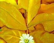 -Unknown - 乔治亚·奥基夫